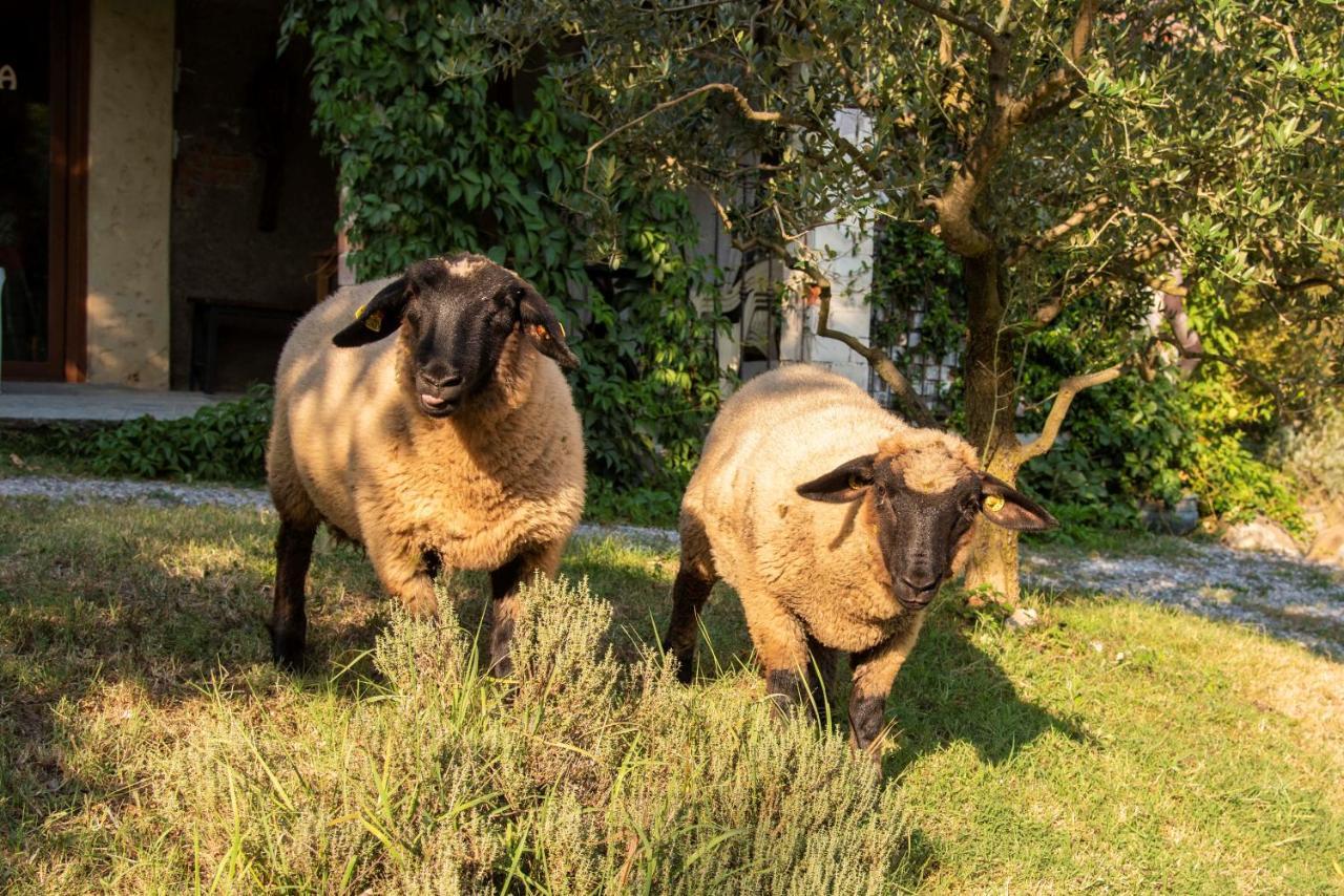 Agriturismo Cascina Costa Cassago Brianza Kültér fotó